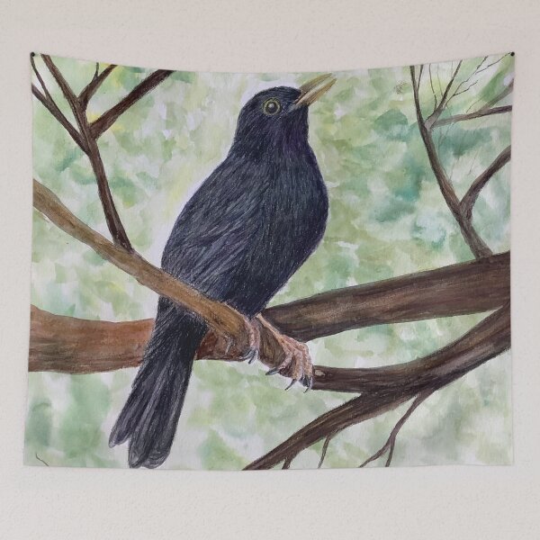 Item preview, Blackbird in the branches of a tree designed and sold by Diane Hunter Art.