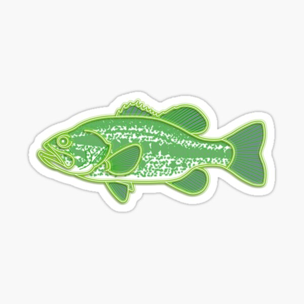 GHaynes Distributing Oval Largemouth Bass Catch & Release Sticker Decal  (Fish Fishing Lure) 3 x 5 inch : : Automotive