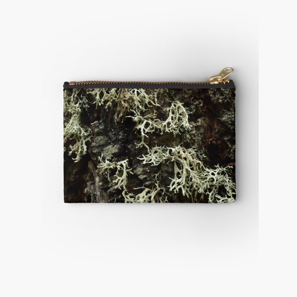 Item preview, Winter Moss in Forest designed and sold by Miller Cornelius.