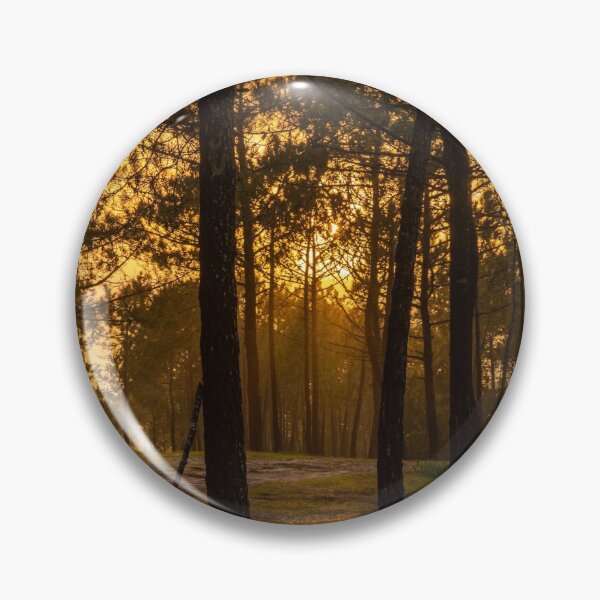 Item preview, Floresta da Praia da Gale designed and sold by DiFigianoPhoto.