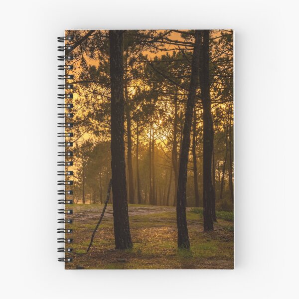 Item preview, Floresta da Praia da Gale designed and sold by DiFigianoPhoto.