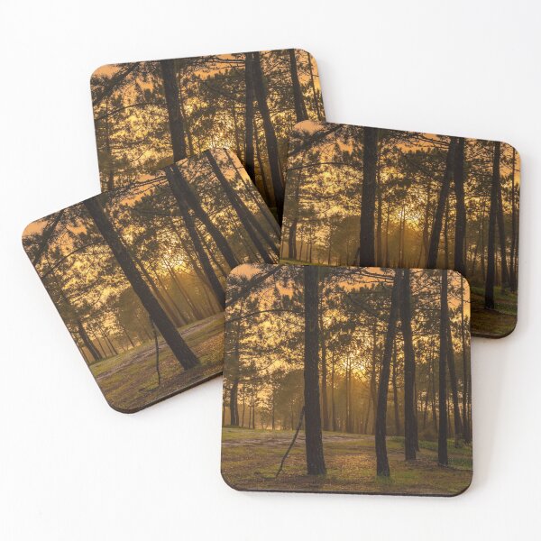 Item preview, Floresta da Praia da Gale designed and sold by DiFigianoPhoto.