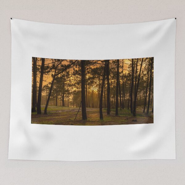 Item preview, Floresta da Praia da Gale designed and sold by DiFigianoPhoto.
