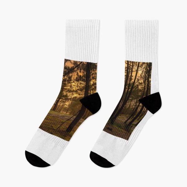 Item preview, Floresta da Praia da Gale designed and sold by DiFigianoPhoto.