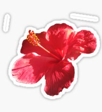 Hibiskus Sticker
