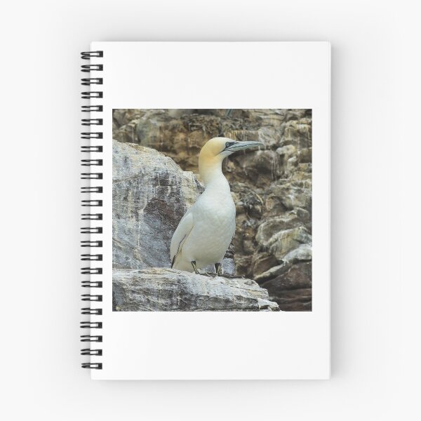 Item preview, Gannet  designed and sold by Veganphotoz.