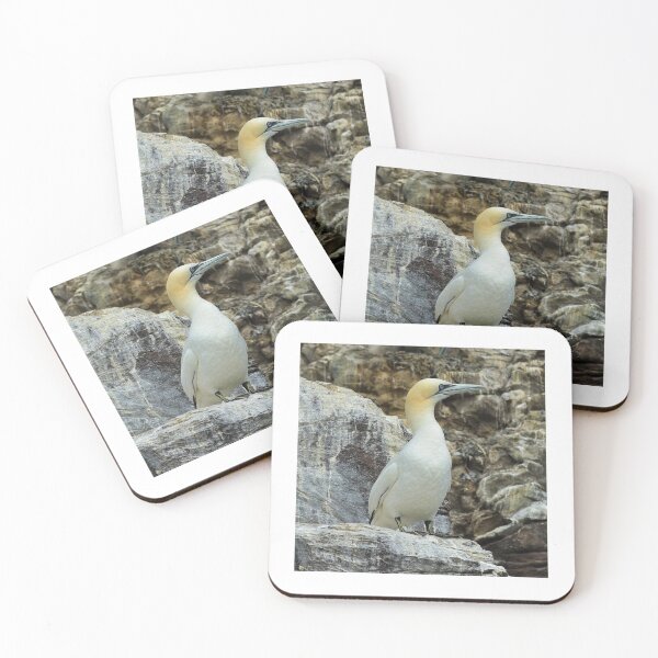 Item preview, Gannet  designed and sold by Veganphotoz.