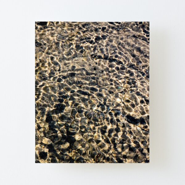 An infinite path Canvas Mounted Print