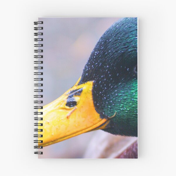 Item preview, Derbyshire Drake.....!! designed and sold by brimel55.