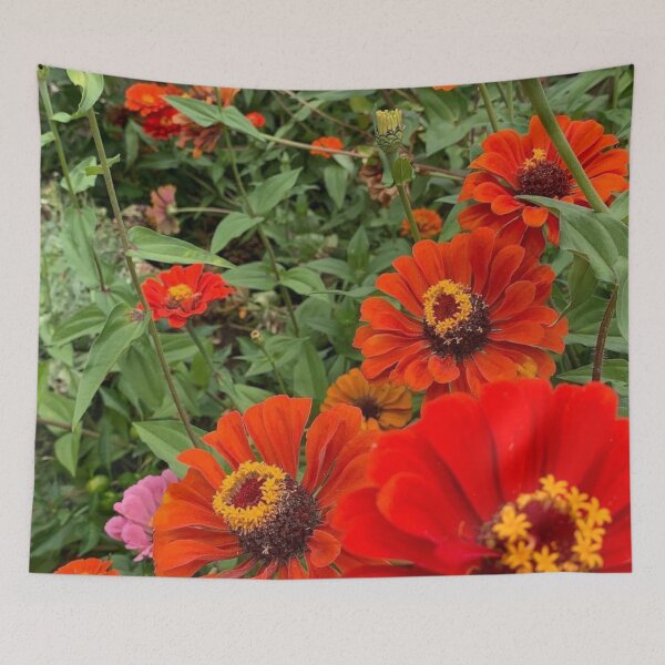 Item preview, Creeping Zinnia designed and sold by Jason Tompkins.