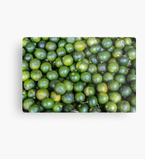 Calamansi (Sweet Green Tropical Lemon) Metal Print
