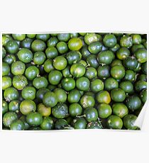 Calamansi (Sweet Green Tropical Lemon) Poster