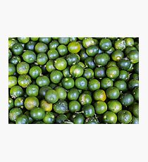 Calamansi (Sweet Green Tropical Lemon) Photographic Print