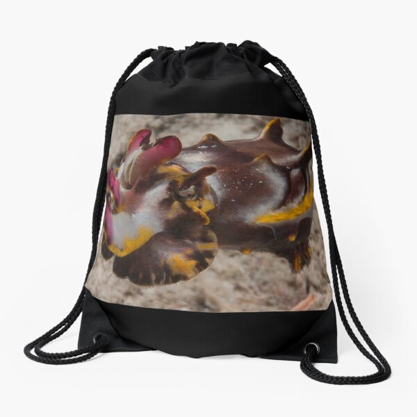 Flamboyant Cuttlefish, Kapalai, Sabah, Malaysia Drawstring Bag
