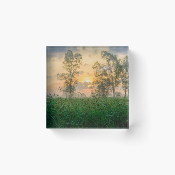 Item preview, Rice Fields Morning Time designed and sold by paradiskt.
