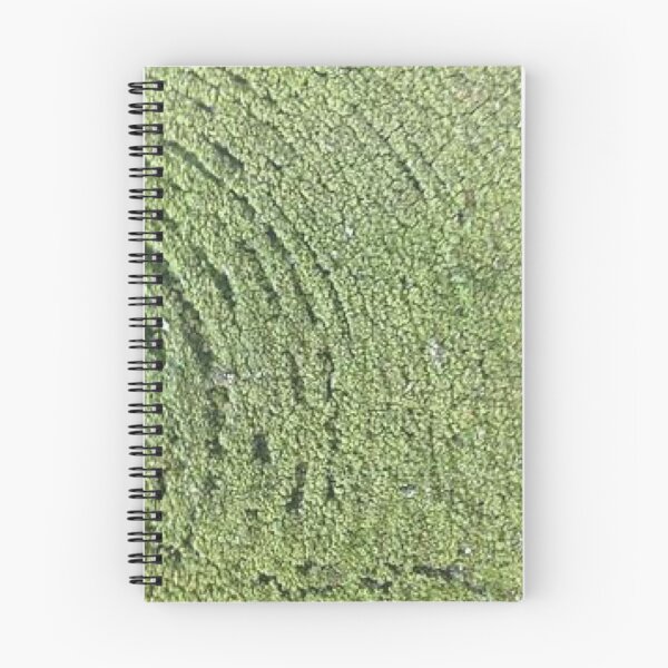 Artikelvorschau, Einige Naturdinge sehen aus wie andere Naturdinge entworfen und verkauft von Jason Tompkins.