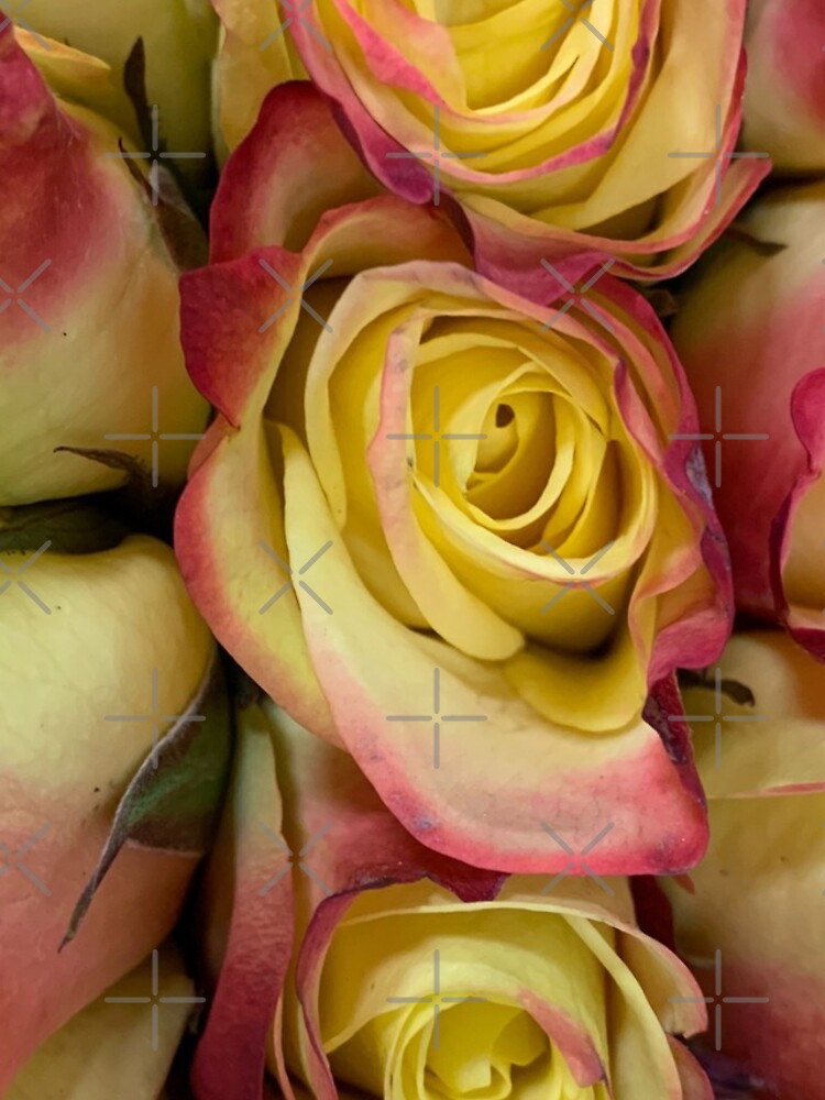 Thumbnail 4 of 4, iPhone Case, Yellow/Red Roses designed and sold by Beardeaux.