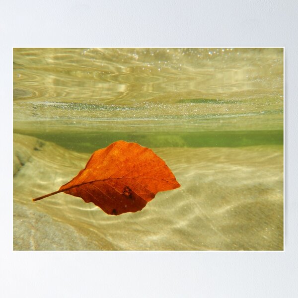 Item preview, Leaf designed and sold by Mats Silvan.