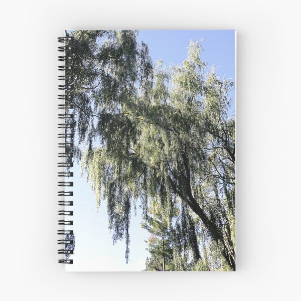 Item preview, Weaping Willow in the Sun designed and sold by SRosuphotos.