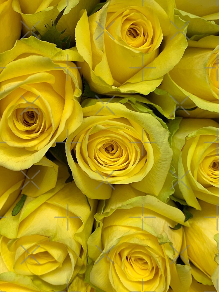 Thumbnail 3 of 3, Scarf, Yellow Roses designed and sold by Beardeaux.