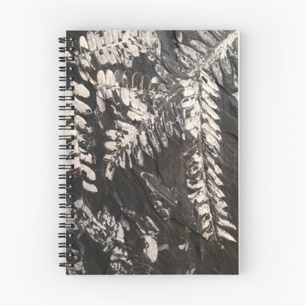 Item preview, Hanging Fossil Ferns designed and sold by Jason Tompkins.