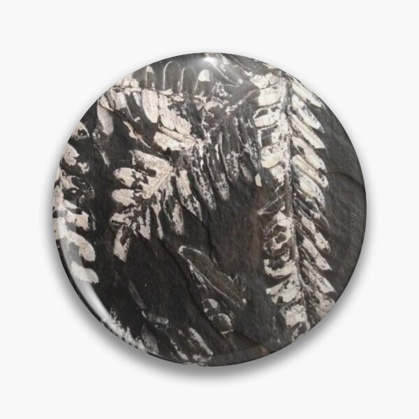 Item preview, Hanging Fossil Ferns designed and sold by Jason Tompkins.