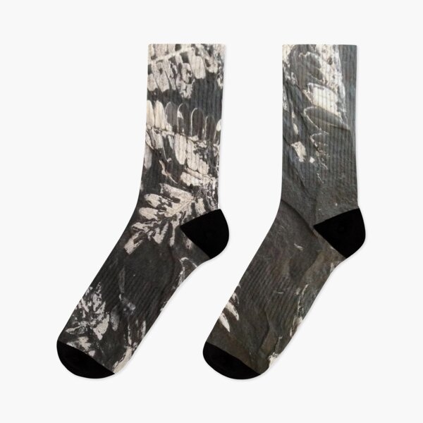 Item preview, Hanging Fossil Ferns designed and sold by Jason Tompkins.