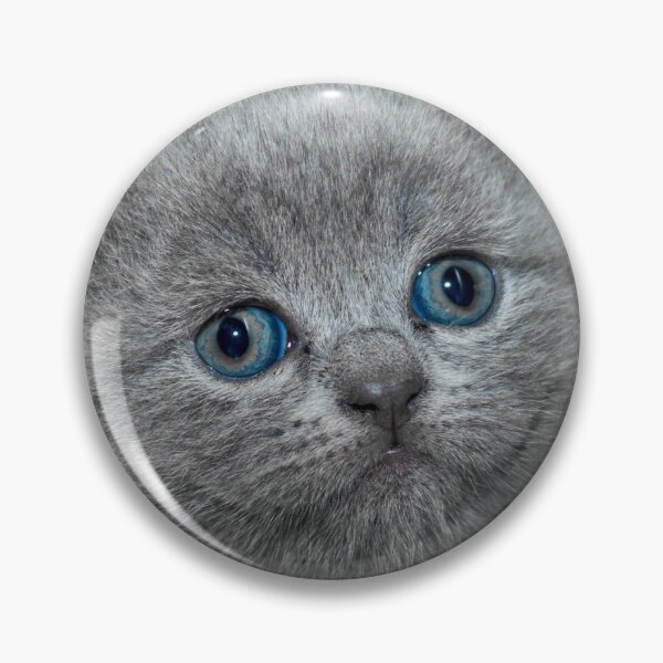 Item preview, Cat Worried designed and sold by victorfreitas.