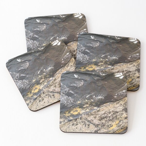 Item preview, Golden Fern Fossils designed and sold by Jason Tompkins.