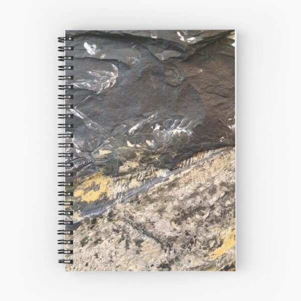 Artikelvorschau, Goldene Farnfossilien entworfen und verkauft von Jason Tompkins.