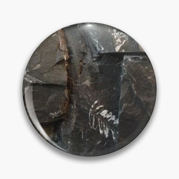 Item preview, Fossils designed and sold by Jason Tompkins.