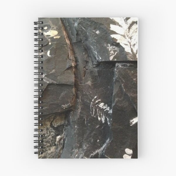 Item preview, Fossils designed and sold by Jason Tompkins.