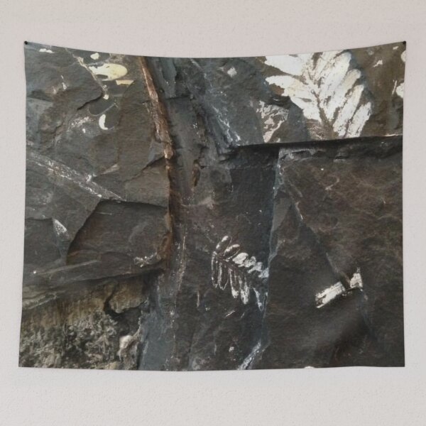 Item preview, Fossils designed and sold by Jason Tompkins.