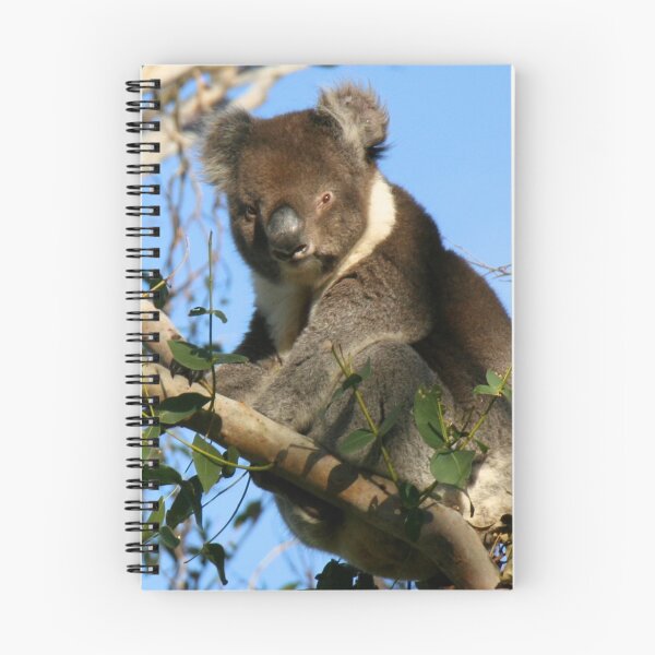 Item preview, Koala, Great Ocean Road, Victoria - Australia designed and sold by PopularTeesandStuff.
