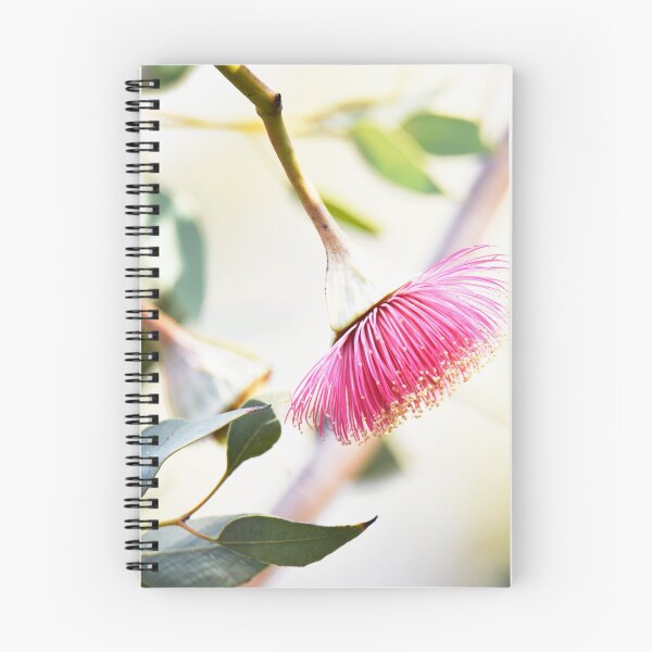 Item preview, Eucalyptus thamnoides - Australian Native designed and sold by imaginethis.