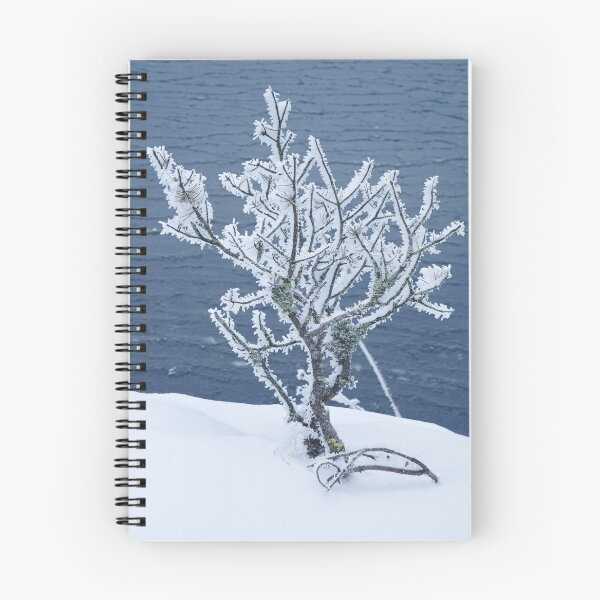 Item preview, Small frosty tree at the lake designed and sold by Juhku.