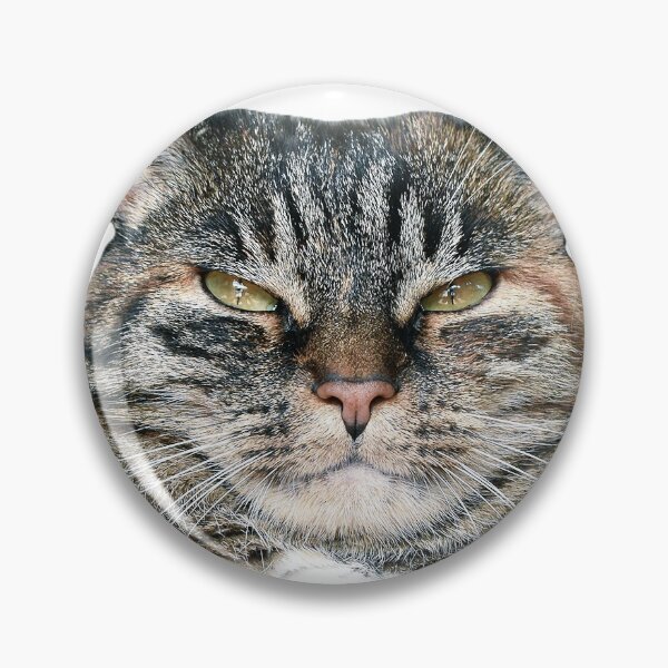 Item preview, Serious Cat designed and sold by victorfreitas.