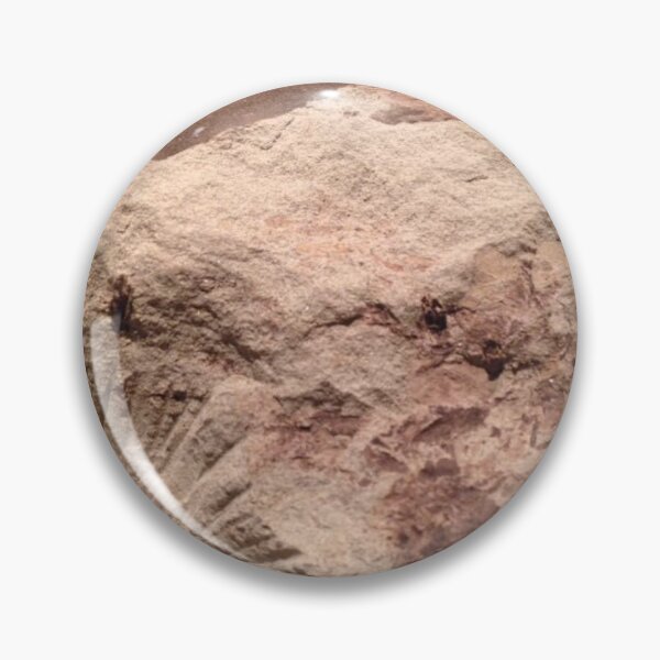 Item preview, Fossilized Leaves designed and sold by Jason Tompkins.