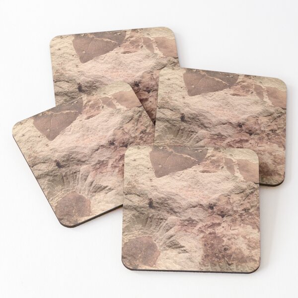Item preview, Fossilized Leaves designed and sold by Jason Tompkins.