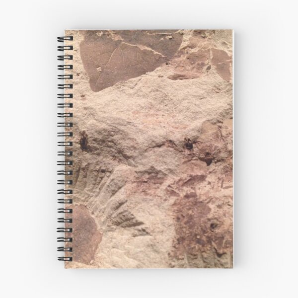 Item preview, Fossilized Leaves designed and sold by Jason Tompkins.
