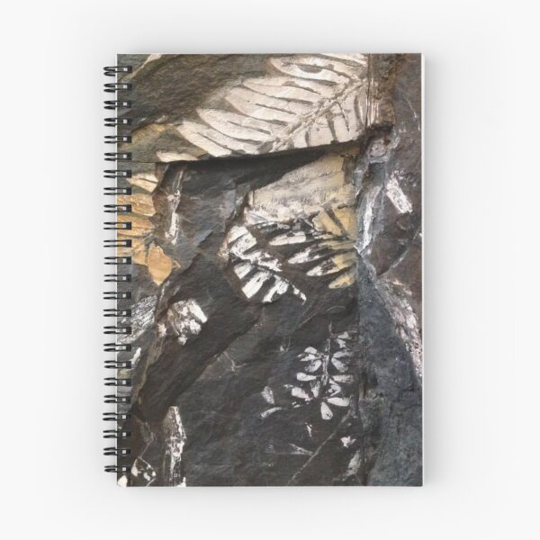 Artikelvorschau, Friggin Old Ferns entworfen und verkauft von Jason Tompkins.