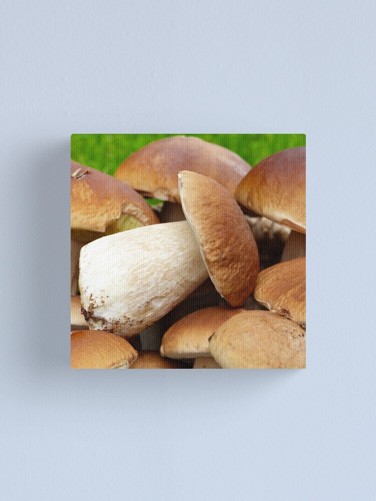 Lienzo «Hongo Porcini Karl Johan Svamp (boletus edulis)» de Fruitsome