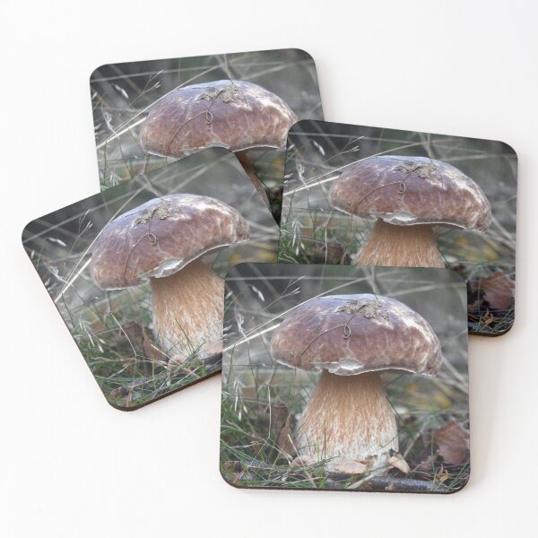 Item preview, Porcini Mushroom fungi - Karl Johan Svamp (boletus edulis) designed and sold by Fruitsome.