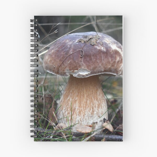 Item preview, Porcini Mushroom fungi - Karl Johan Svamp (boletus edulis) designed and sold by Fruitsome.