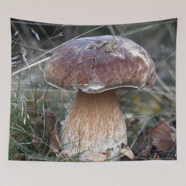Item preview, Porcini Mushroom fungi - Karl Johan Svamp (boletus edulis) designed and sold by Fruitsome.