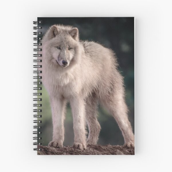 Item preview, Arctic wolf standing looking alert designed and sold by alan tunnicliffe.