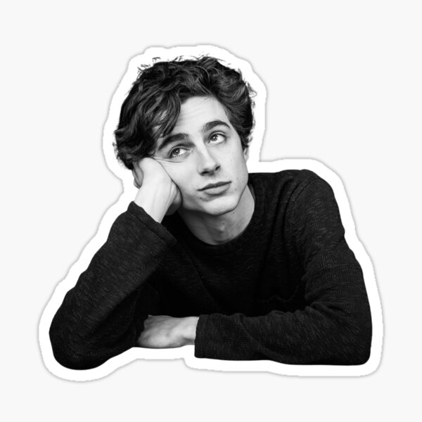 Timothee Chalamet Wallpaper Stickers Redbubble