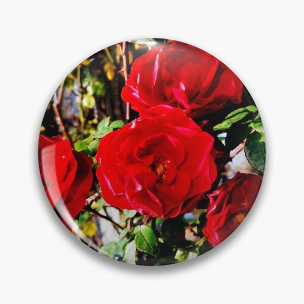 Artikelvorschau, Rosen Valentinstag entworfen und verkauft von OMdesigns93.