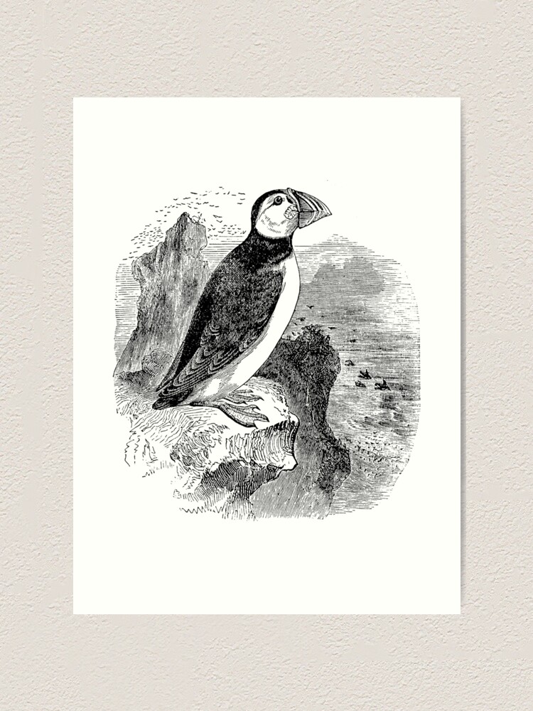 Vintage//Retro DICTIONARY PARROT Bird Vintage print//wall art A4//A3 Wall Decor