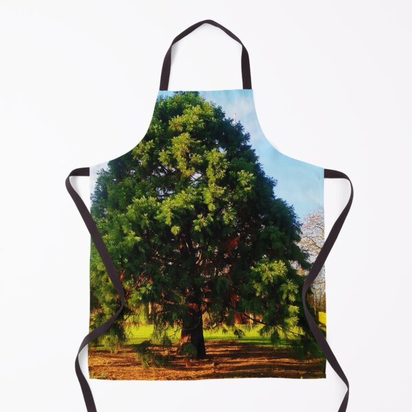 Item preview, Big beech photo designed and sold by OMdesigns93.